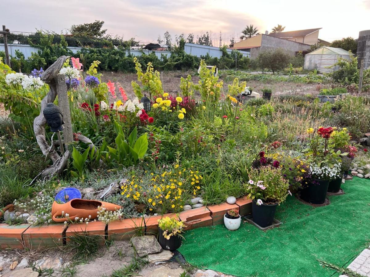 Вилла Beautiful Little Country House Carvide Экстерьер фото