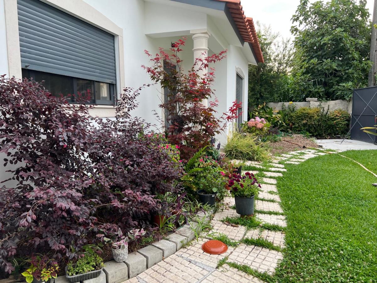 Вилла Beautiful Little Country House Carvide Экстерьер фото